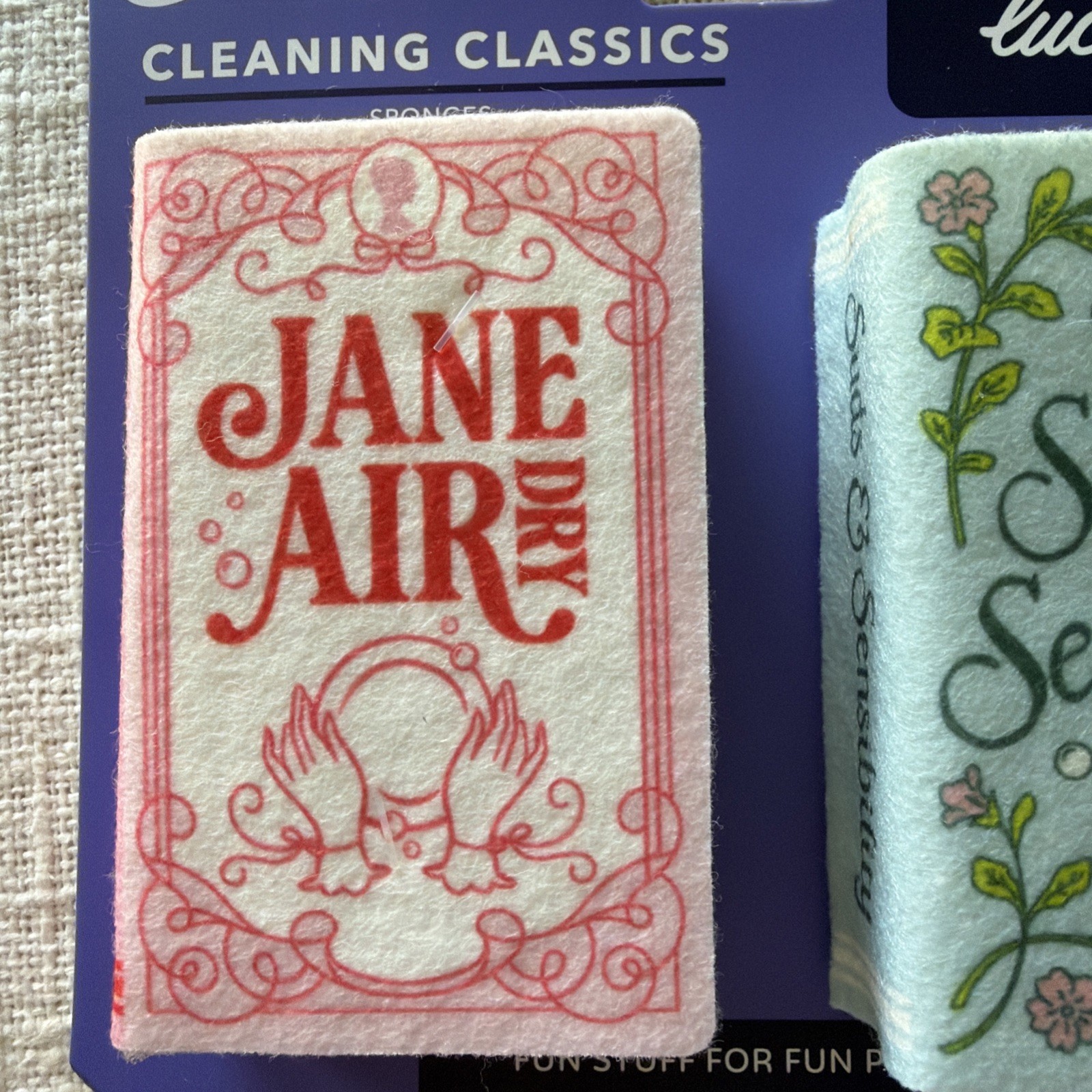 Cleaning Classics Sponges 2 Pcs ~ Austen Bronte Book Lover Fun Kitchen Home Gift