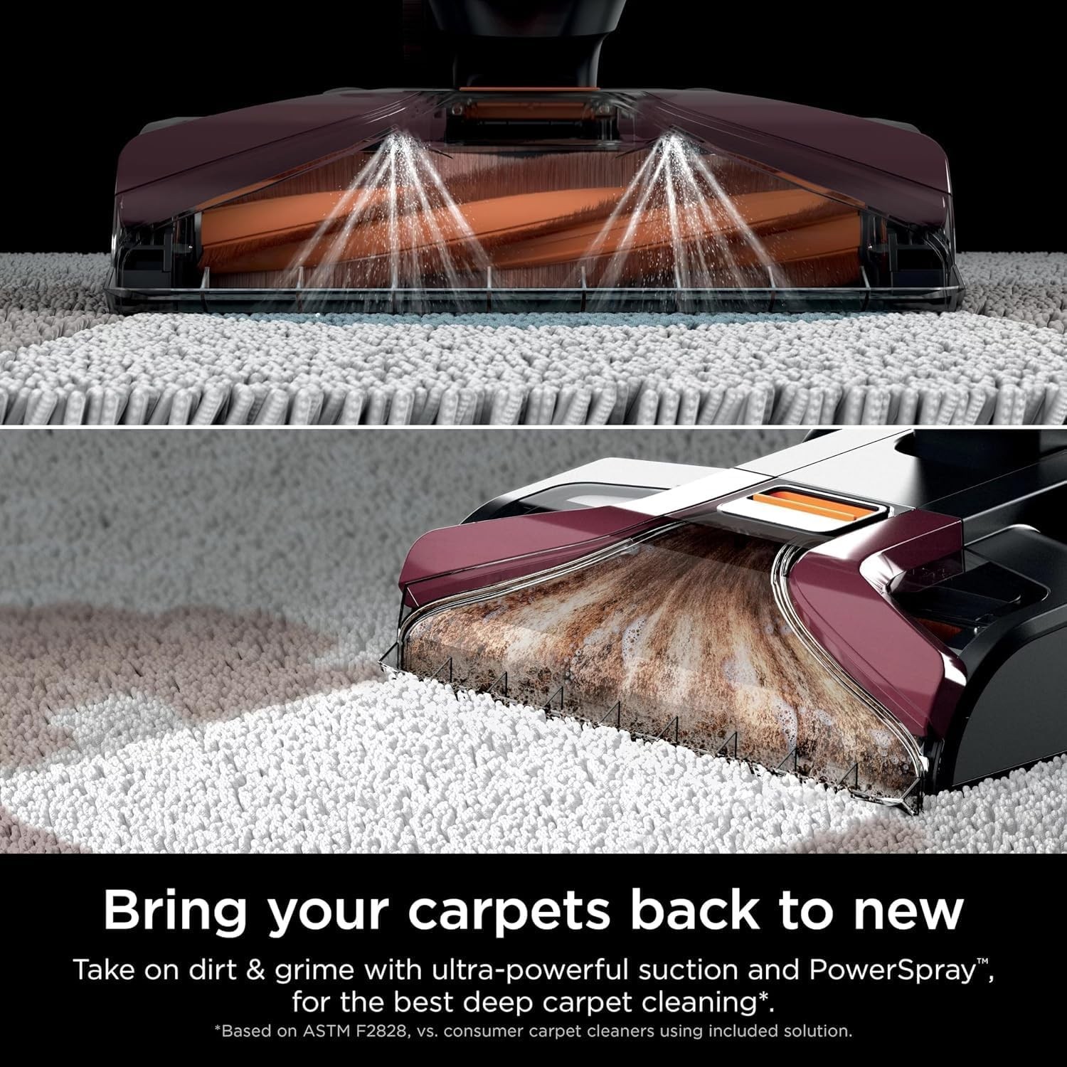 Shark EX150 CarpetXpert Upright Carpet Cleaner Rugs Upholstery Pet Stain Odors