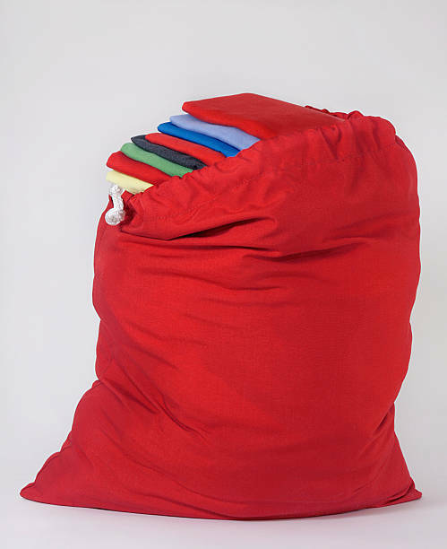Laundry Bag 4 Pack Heavy Duty Large Jumbo Nylon 30 x 40 Free Shipping