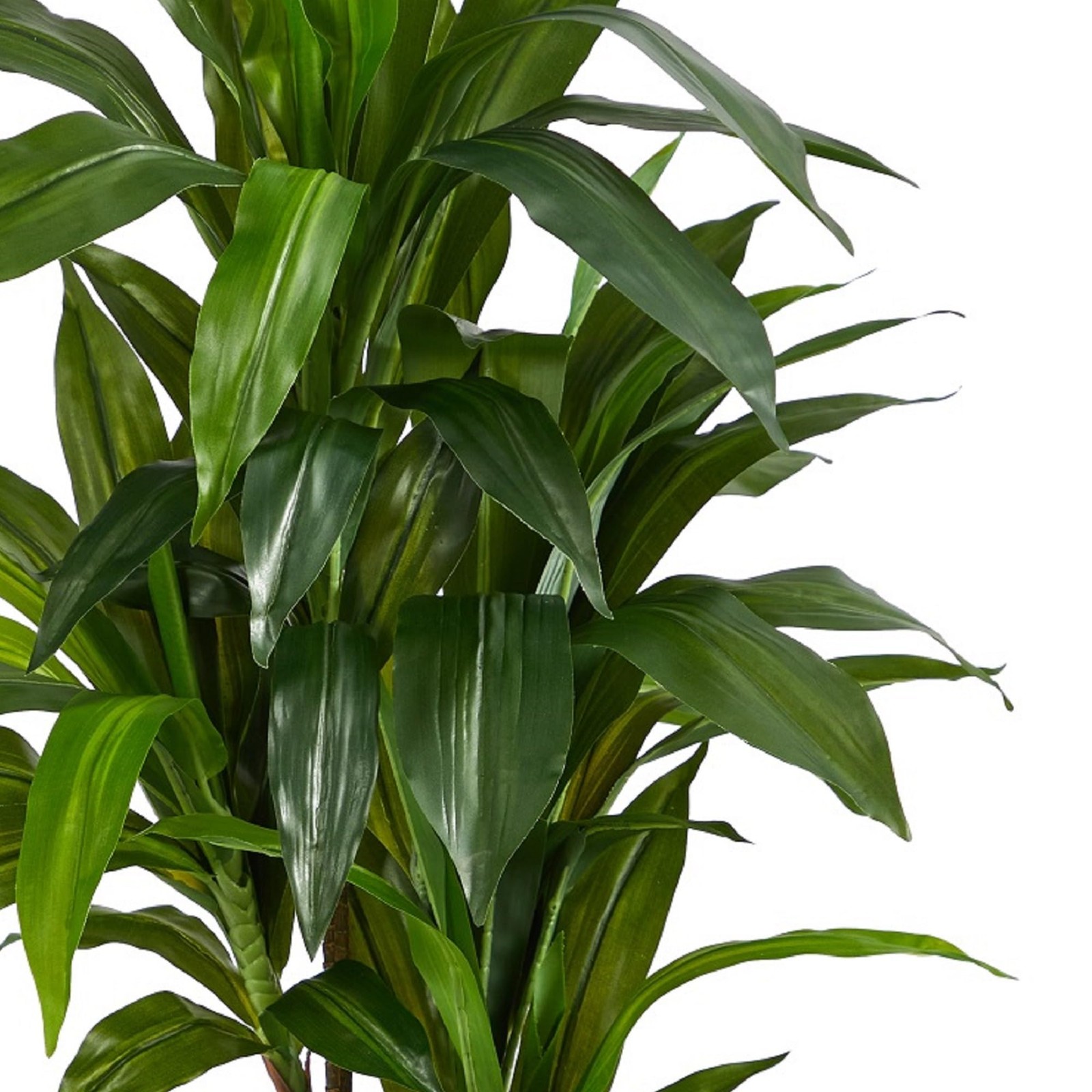 Nearly Natural 43in. Dracaena Silk (Real Touch) Artificial Plant, Green
