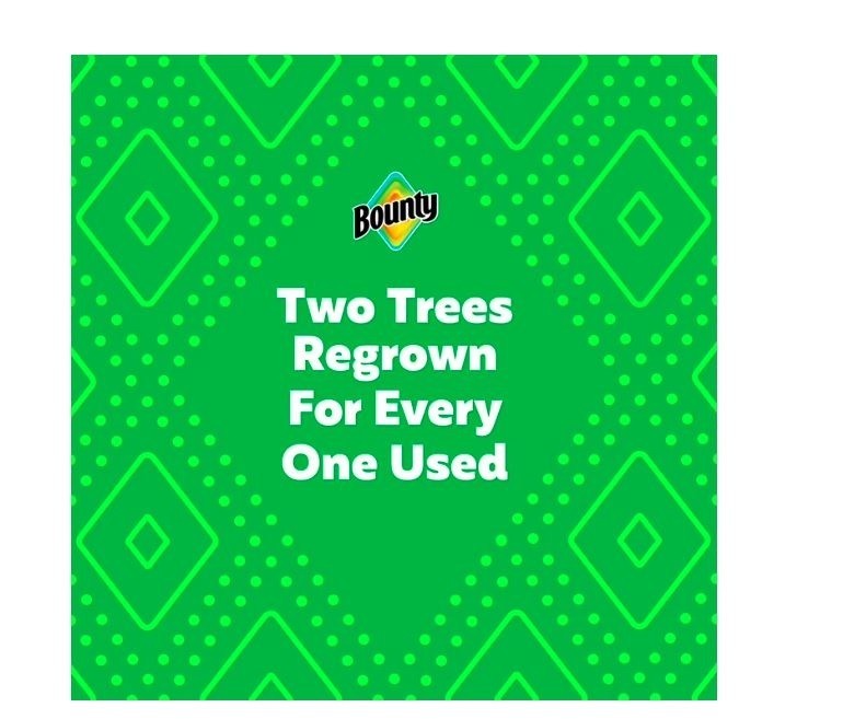 Bounty Select-A-Size Paper Towels, White, 12 Double Rolls = 24 Regular Rolls
