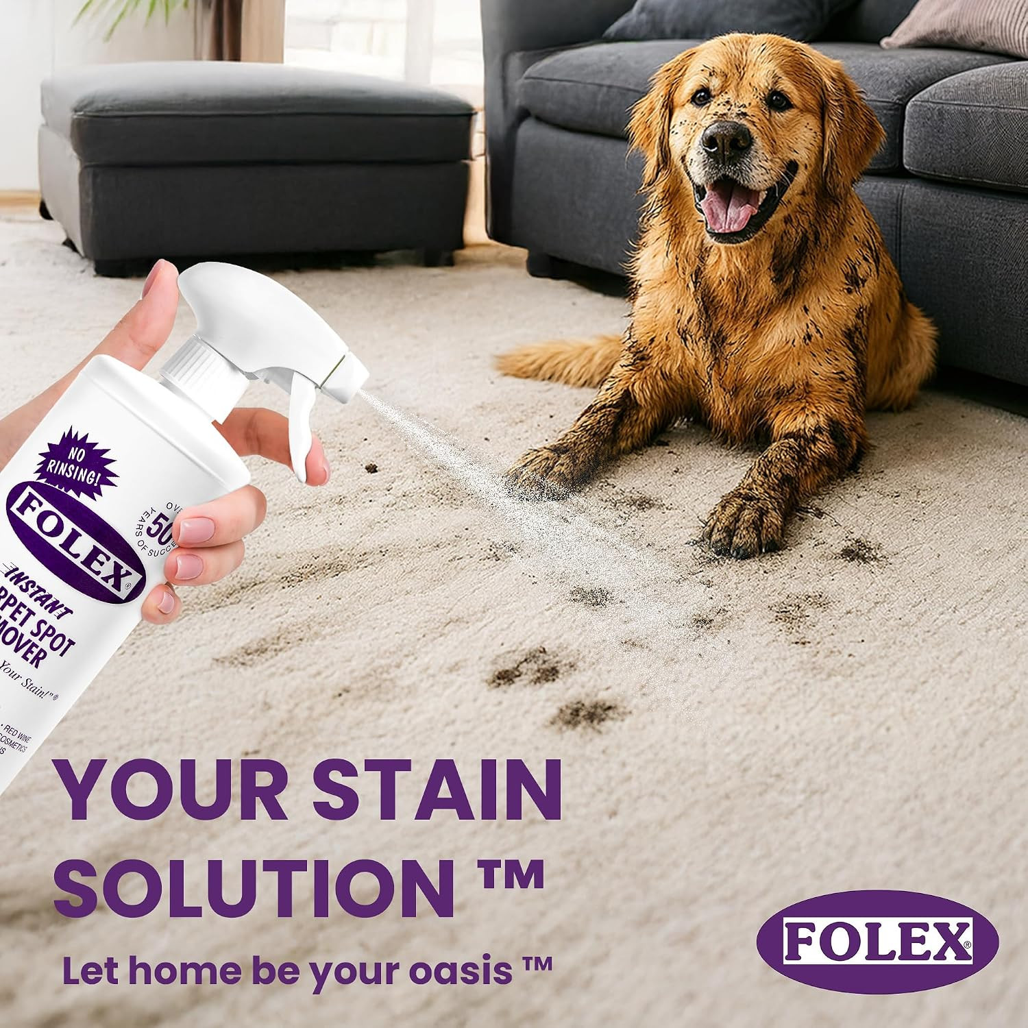 FOLEX 32oz Carpet Spot Remover for Pet & Food Stains, With Cleaning Cloth