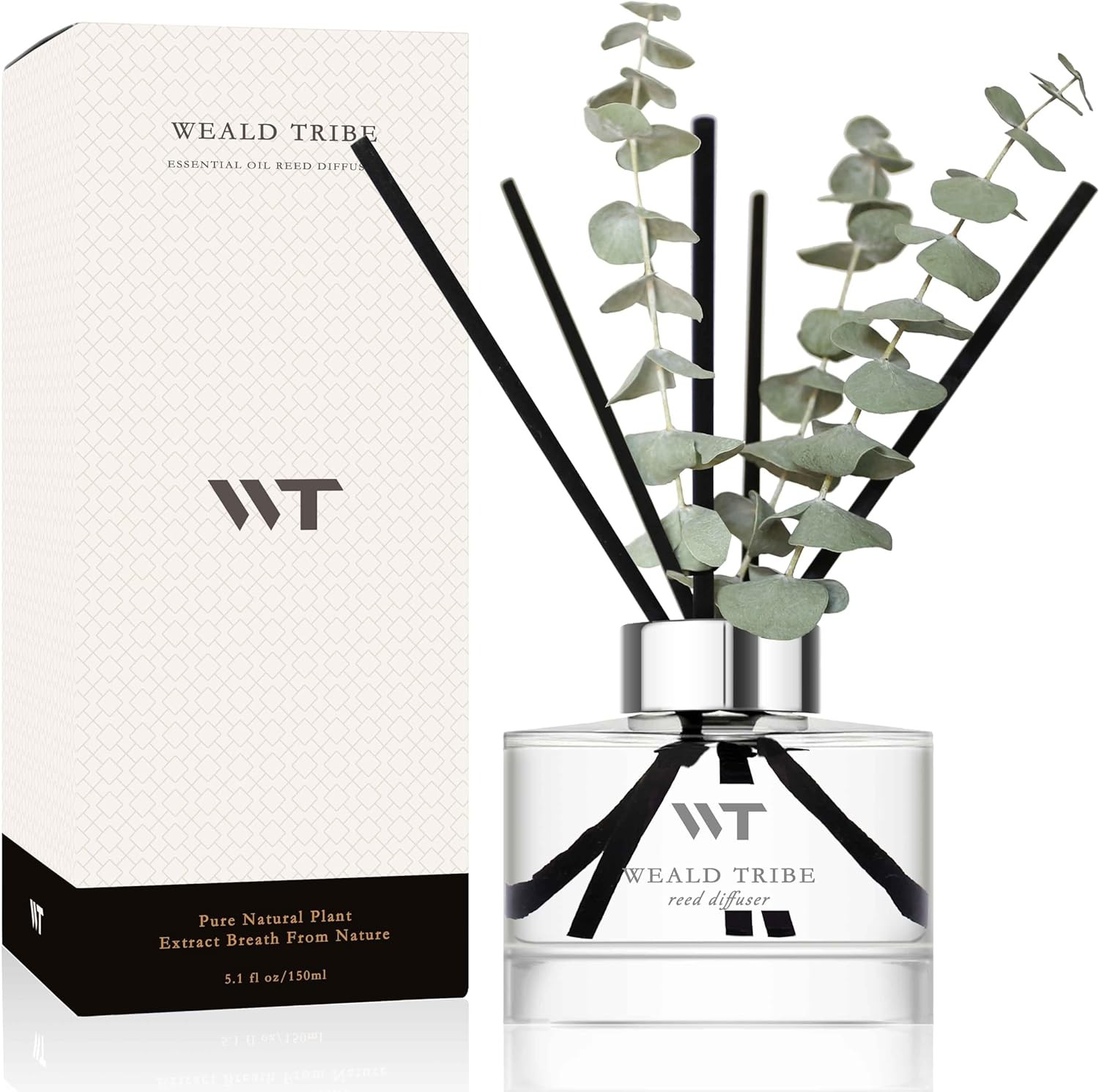 Wild Eucalyptus Mint Flower Reed Diffuser Set for Home Decor & Gifts