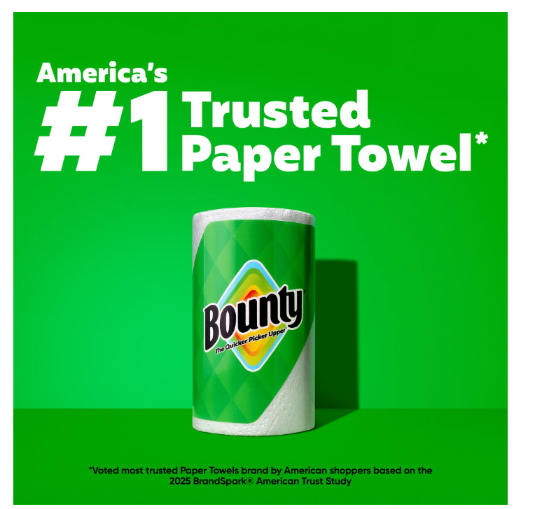 Select-A-Size White Paper Towels 12 Triple Rolls 123 Sheets Each