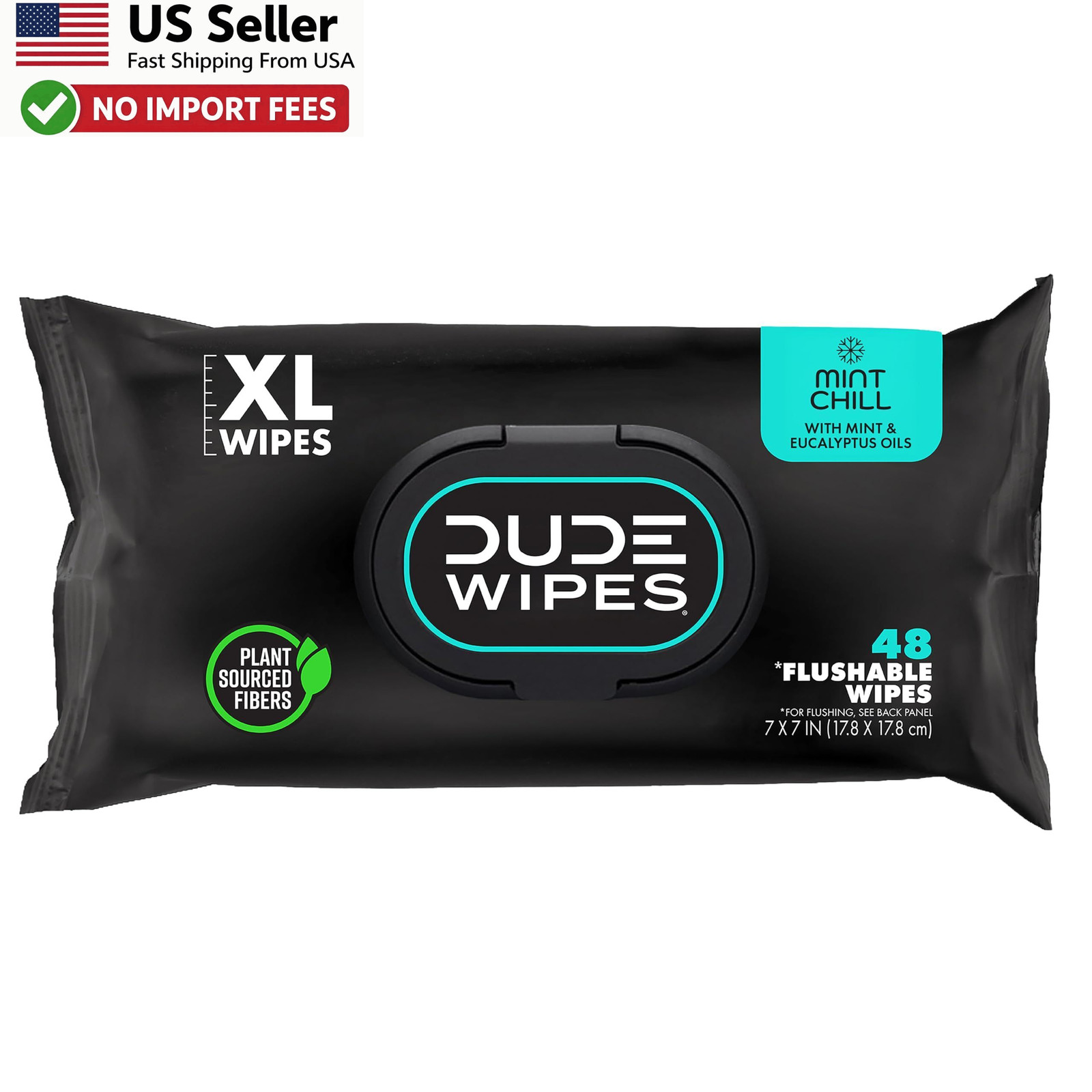 DUDE Wipes Mint Chill Flushable Wipes 48 Count Adult Wet Wipes 1 Pack FROM USA