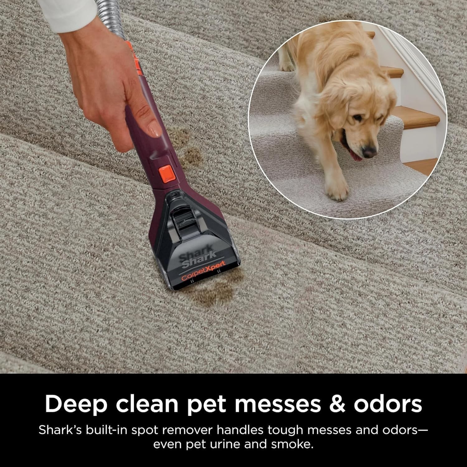 Shark EX150 CarpetXpert Upright Carpet Cleaner Rugs Upholstery Pet Stain Odors