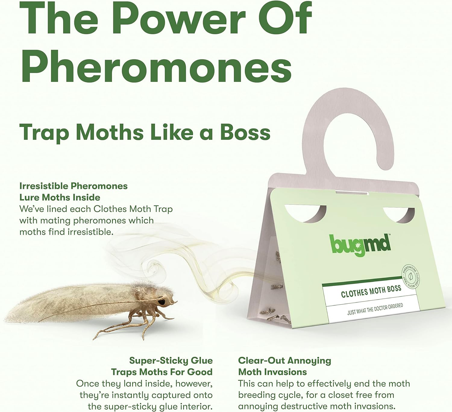 Bugmd Clothes Moth Boss Traps (6 Count, Green) – Sticky Glue Bug Repellent Phero