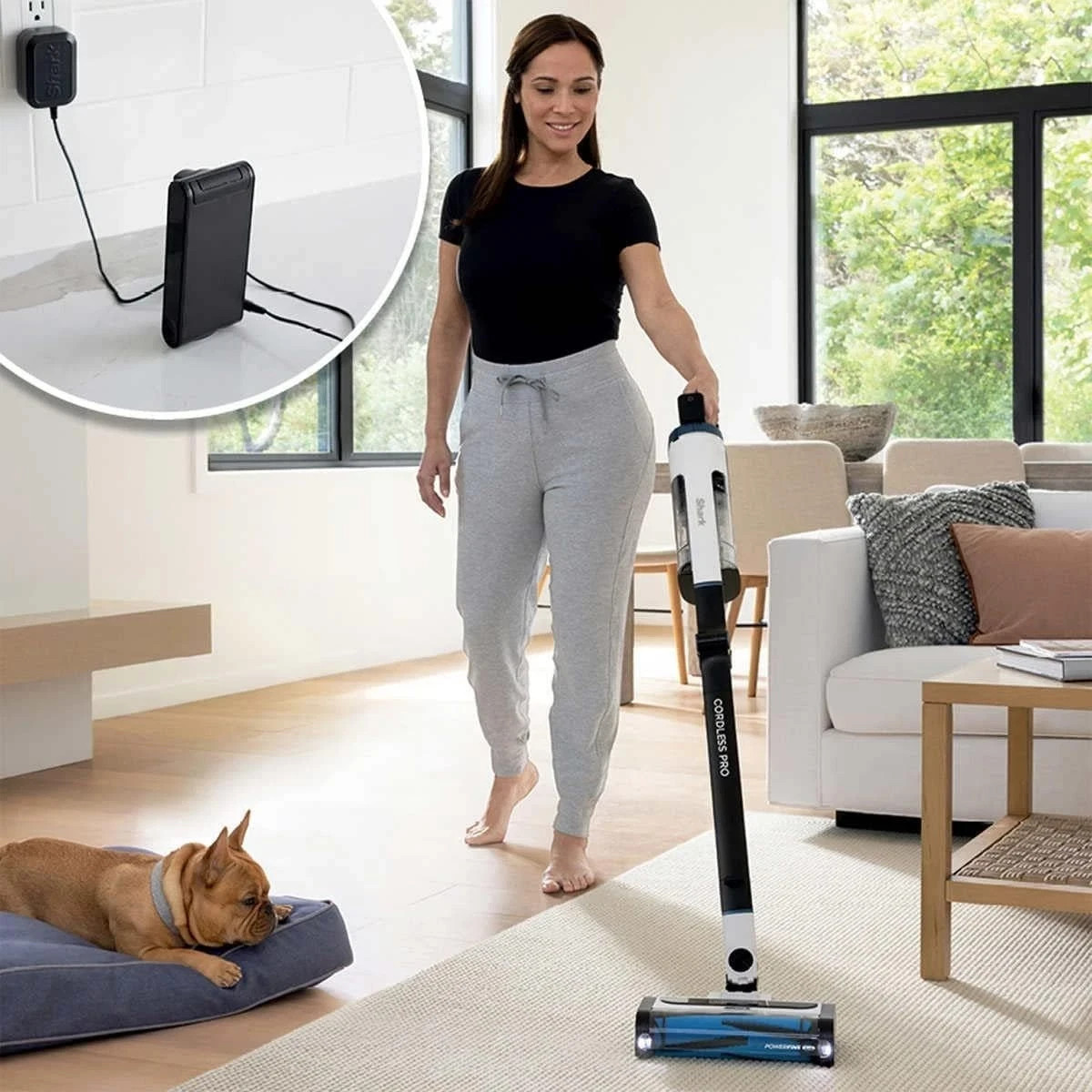 Shark SV75Z Cordless Pet Perfect Handheld Portable Vacuum Rechargeable-BLUE