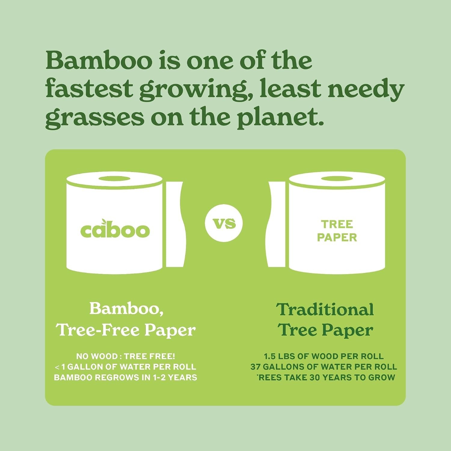 Tree Free Unbleached Toilet Paper | Plastic Free Packaging, Septic Safe, Eco …