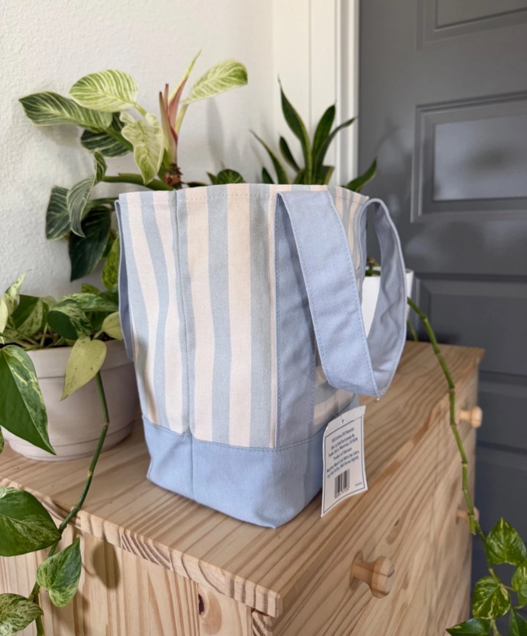 Trader Joe’s Striped Mini Canvas Tote Bag, Blue/White, Cotton/Polyester