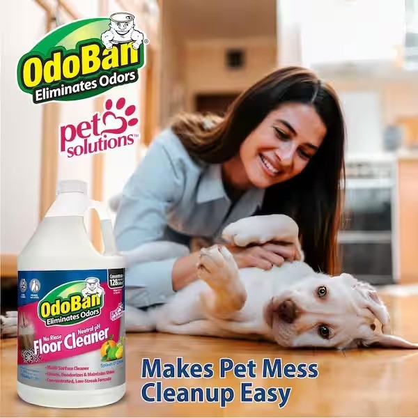 OdoBan 1 Gal. No Rinse Neutral pH Floor Cleaner, Concentrated Floor Cleaner