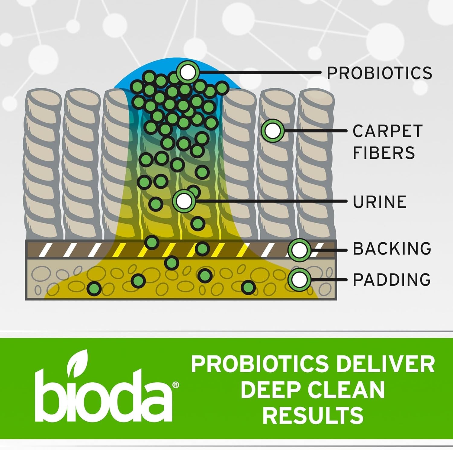 Bioda Multi-Purpose Probiotic Enzyme Cleaner and Deodorizer | Professional Stren