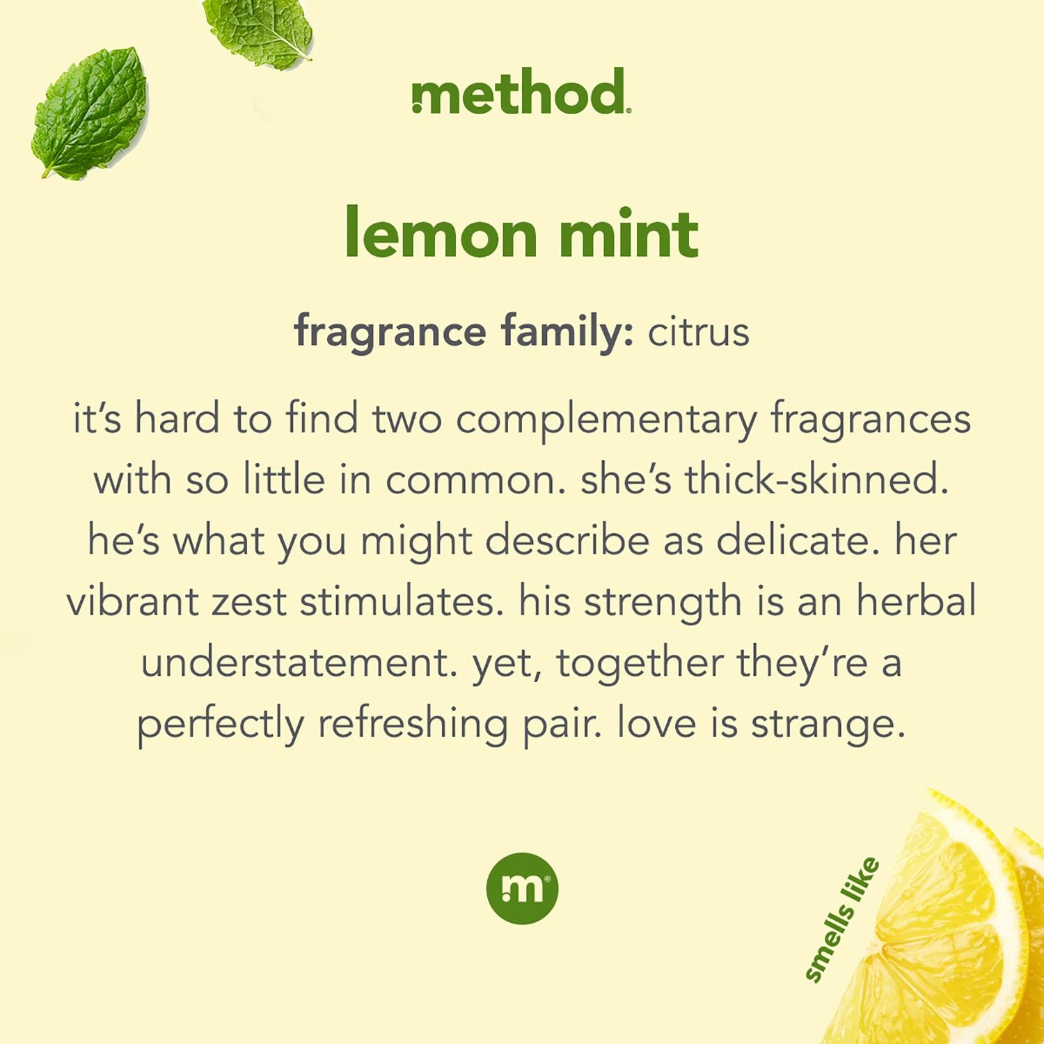 Method 01179 Biodegradable Non Toxic Lemon Mint Dish Soap 18 oz. (Pack of 6)
