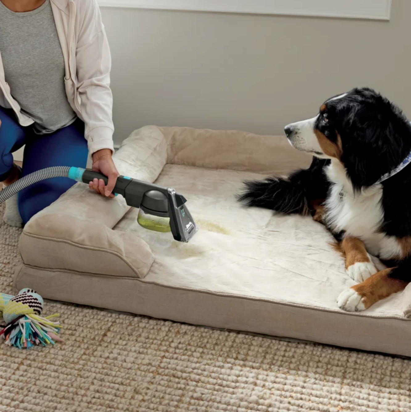 Shark R-EX305 CarpetXpert Carpet & Upholstery Cleaner – Certified Refurbished