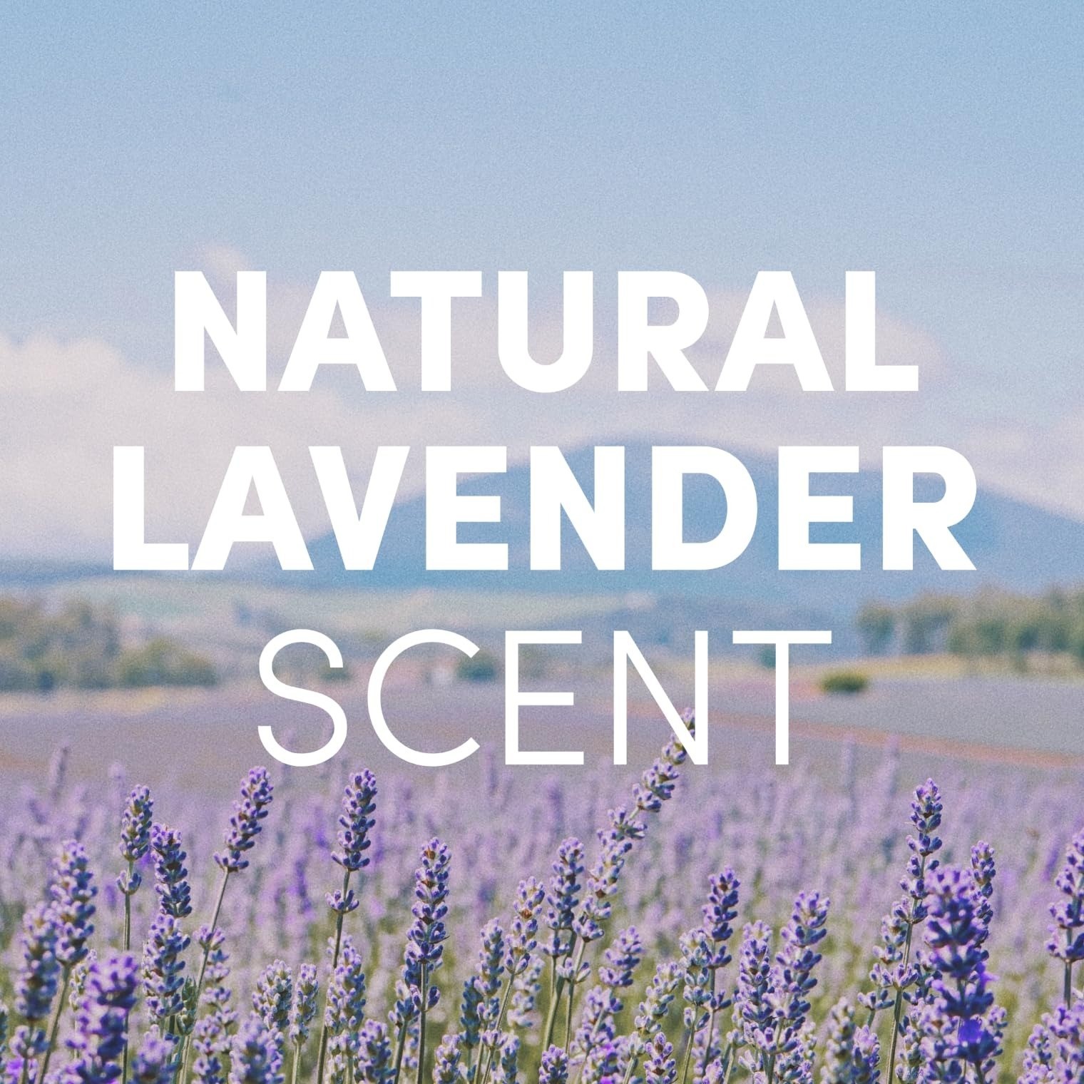 Foaming Hand Soap Refill 64 fl oz Lavender Clean Revolution