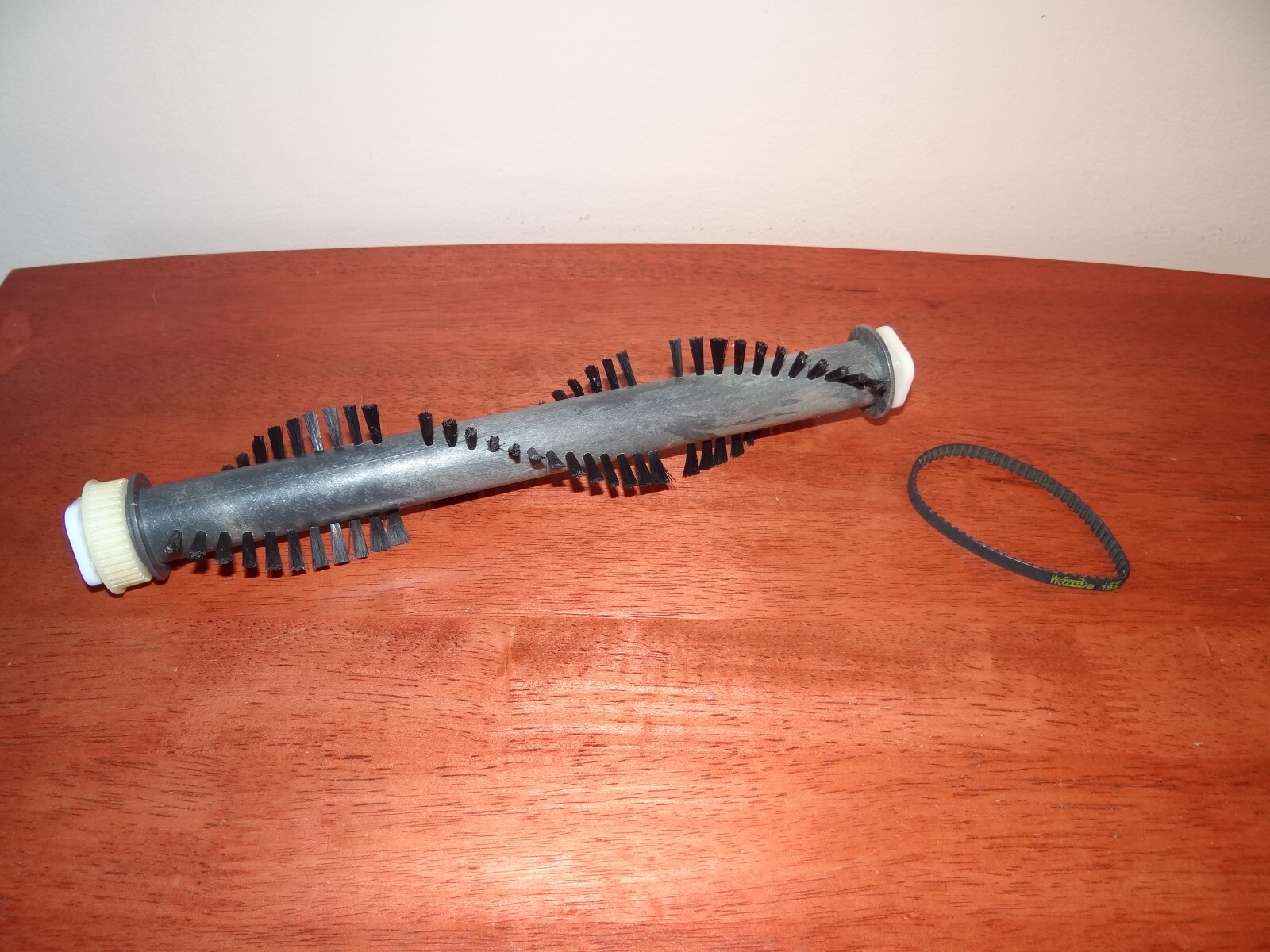 Shark Euro Pro EP619 EP621 Brushroll Beater Bristle Bar w/ Belt – Genuine Part