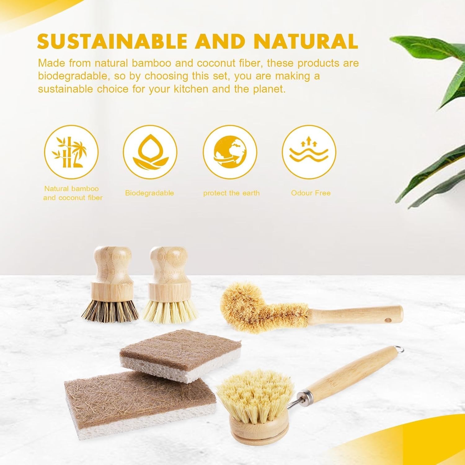 6pc Bamboo Dish Brush Set | Coconut Sponge | Natural Kitchen Cleaning Tools