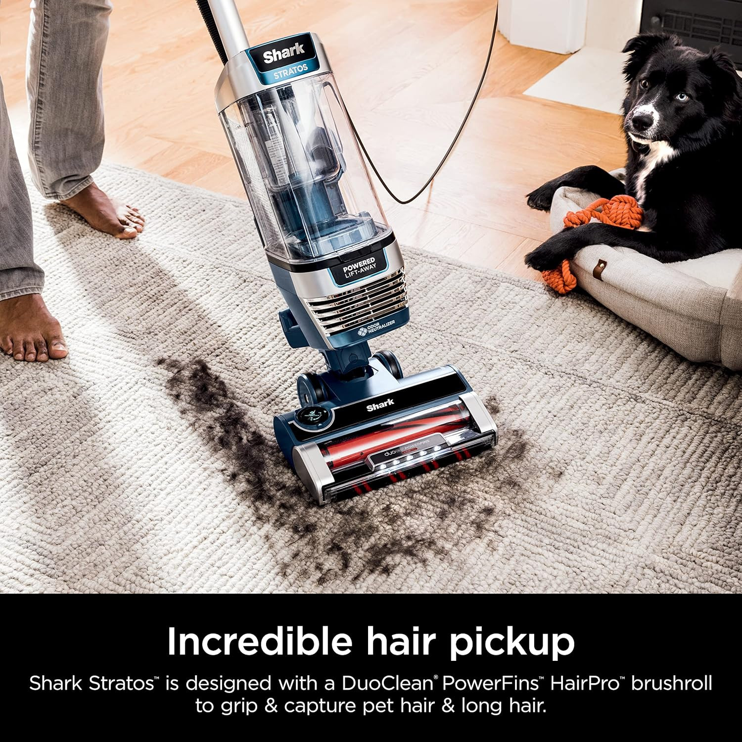 Shark Stratos Upright Vacuum with DuoClean, HairPro & Self-Cleaning Brushroll