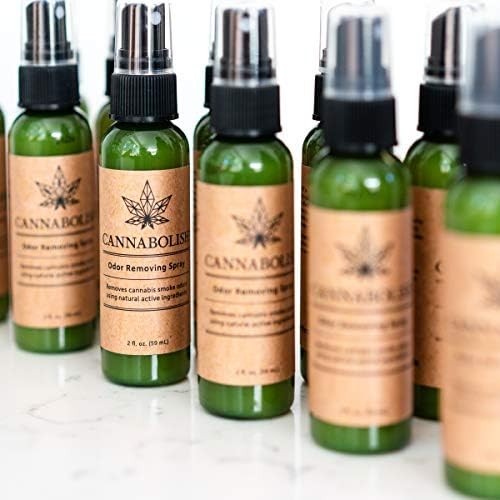2 fl. oz. Unscented Odor Eliminator Spray – Ideal for Travel and Home Use