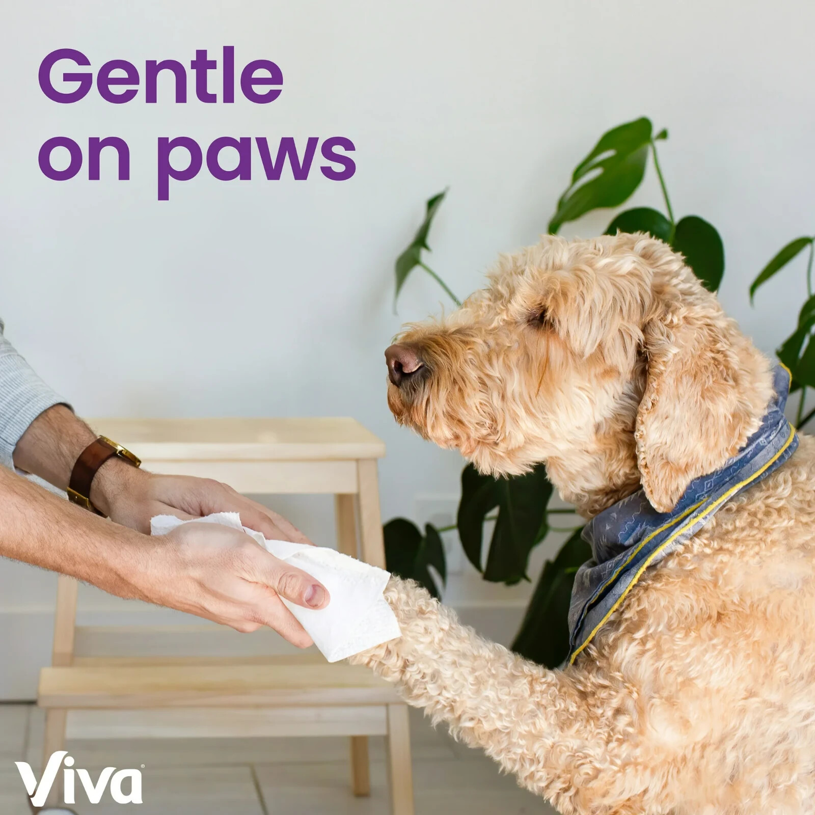 Viva Signature Cloth Paper Towels, 6 Double Rolls