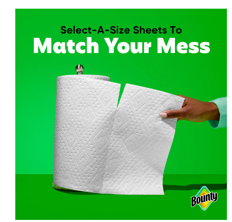 Select-A-Size White Paper Towels 12 Triple Rolls 123 Sheets Each
