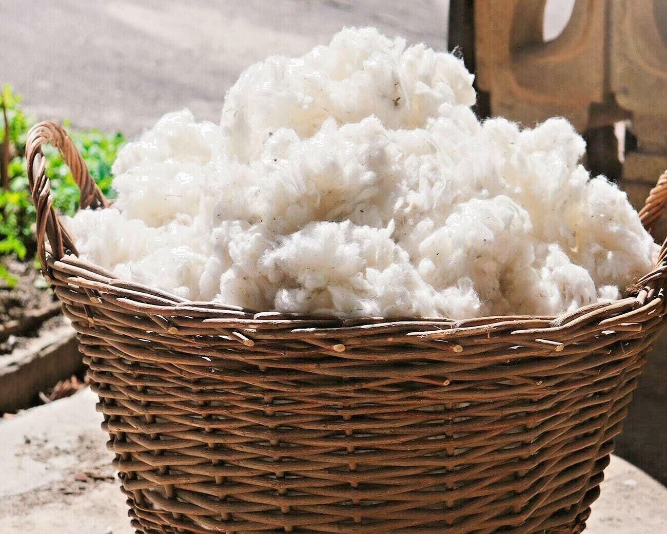 Kapok Fiber – 100% natural Organic – Pillow Fill- Ceylon product-Free Shipping