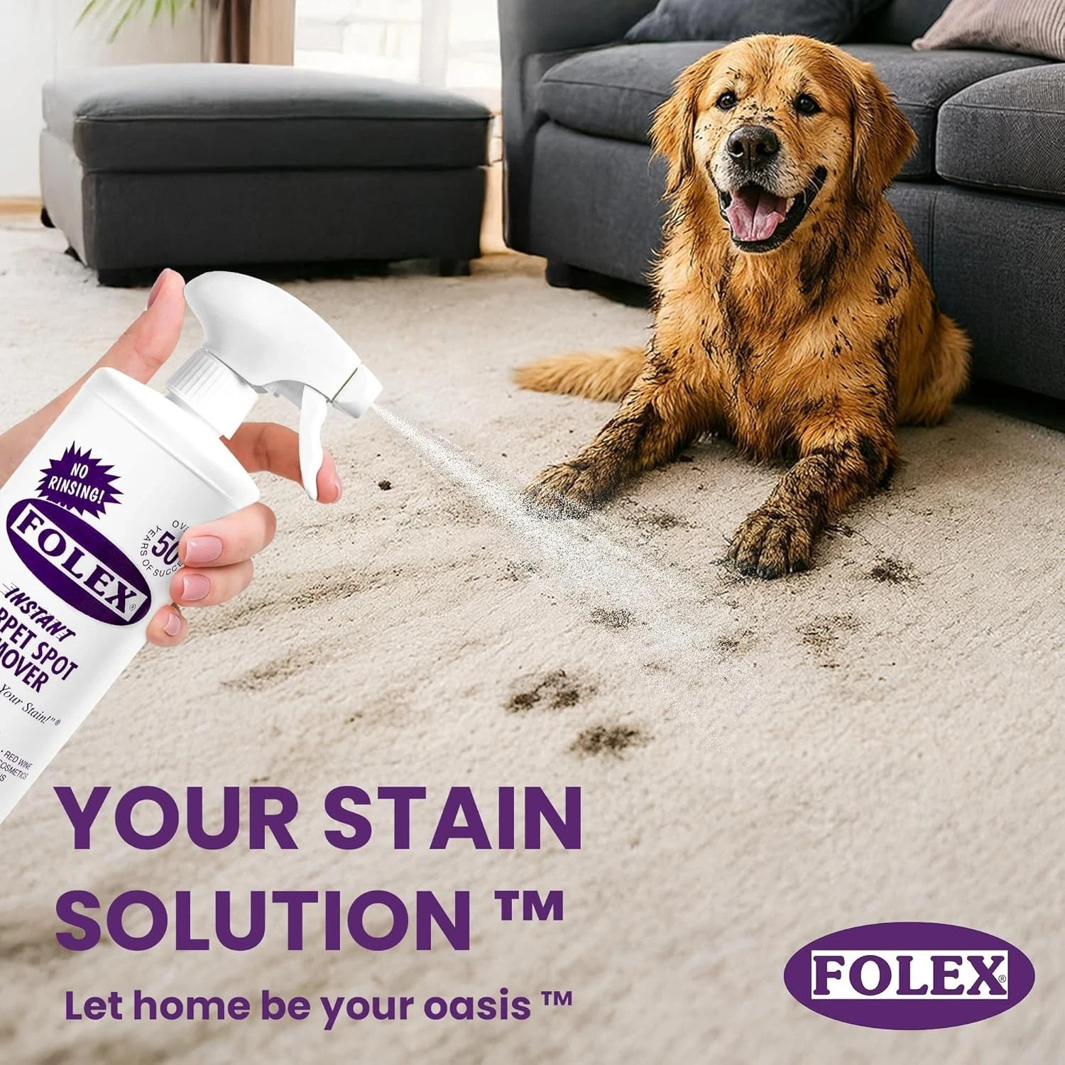 Folex Instant Carpet Spot Remover 32oz 2 Pack Pet Stain Cleaner No Rinse
