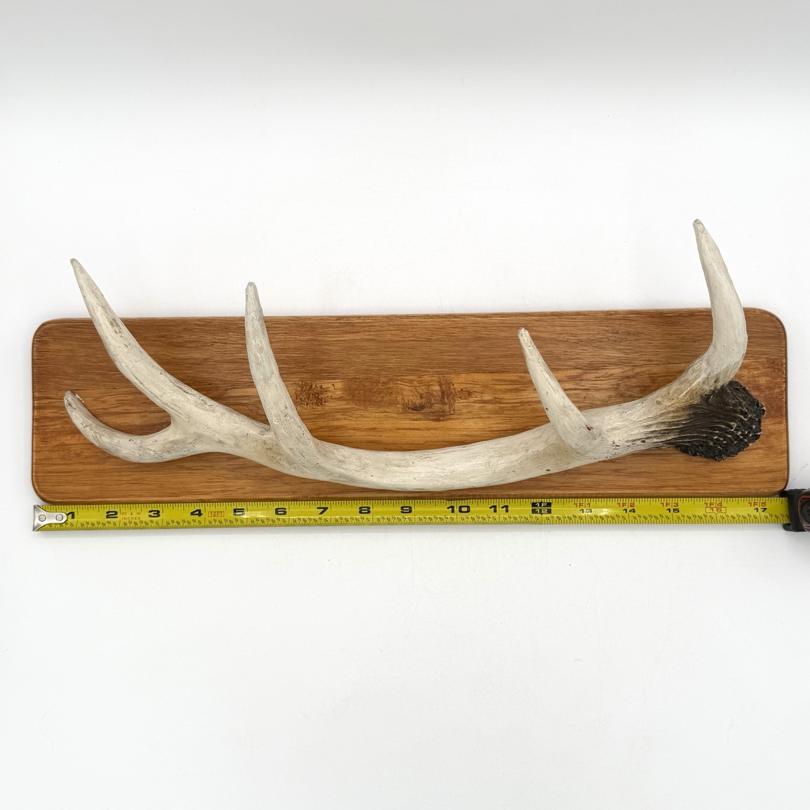 Rustic White Tail Deer Antler Wall Mounted Coat Hat Rack On Wood 17.5 X 4 Inch