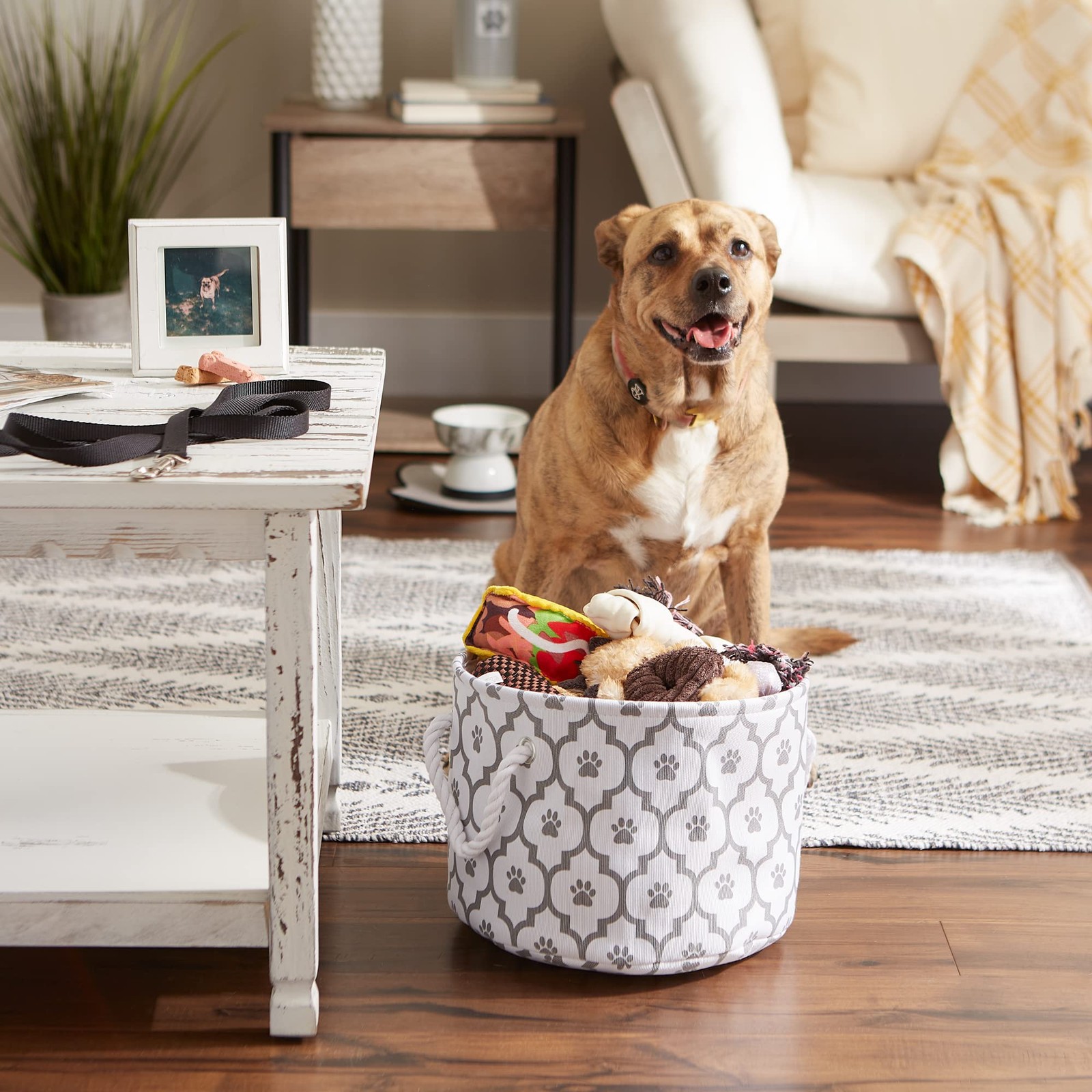 Target Small Round White Gray Pet Storage Basket 9×12 Stylish and Functional