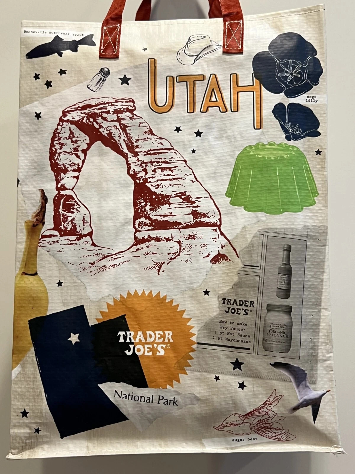 Trader Joe’s Utah Reusable Shopping Bag: Dinosaur, Arches, Bison, Umbrellas