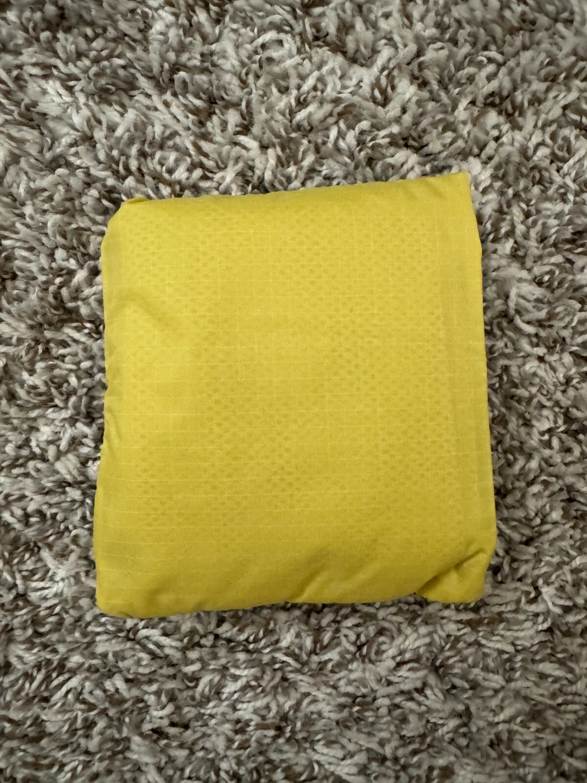 BAGGU Sour Mesh Standard Baggu Reuseable Bag Used HTF Rare
