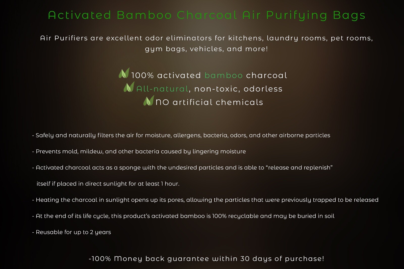 Activated Bamboo Charcoal Bag Filter / Natural Air Purifying Remedy -NatureGuise