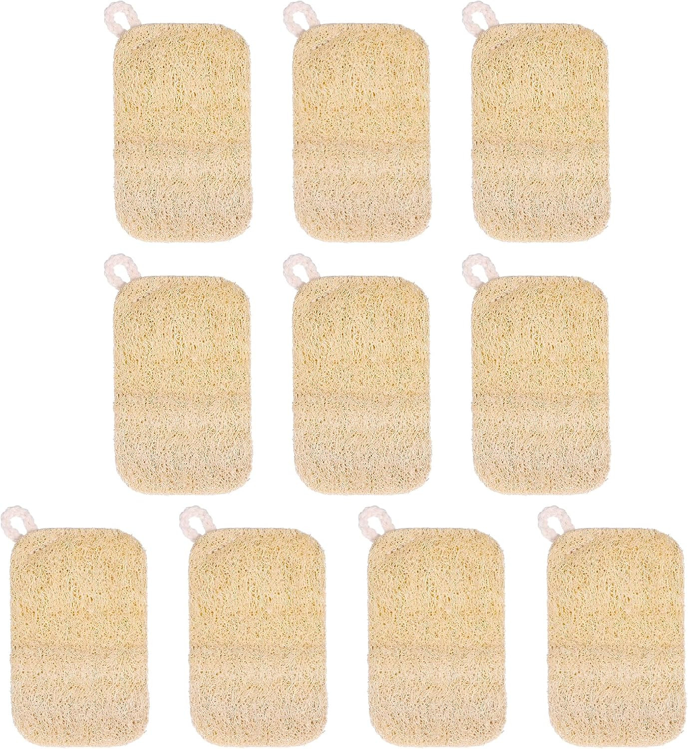 10 PCS Natural Sponges for Dishes, Loofah Dish Sponge for Kitchen Compostable