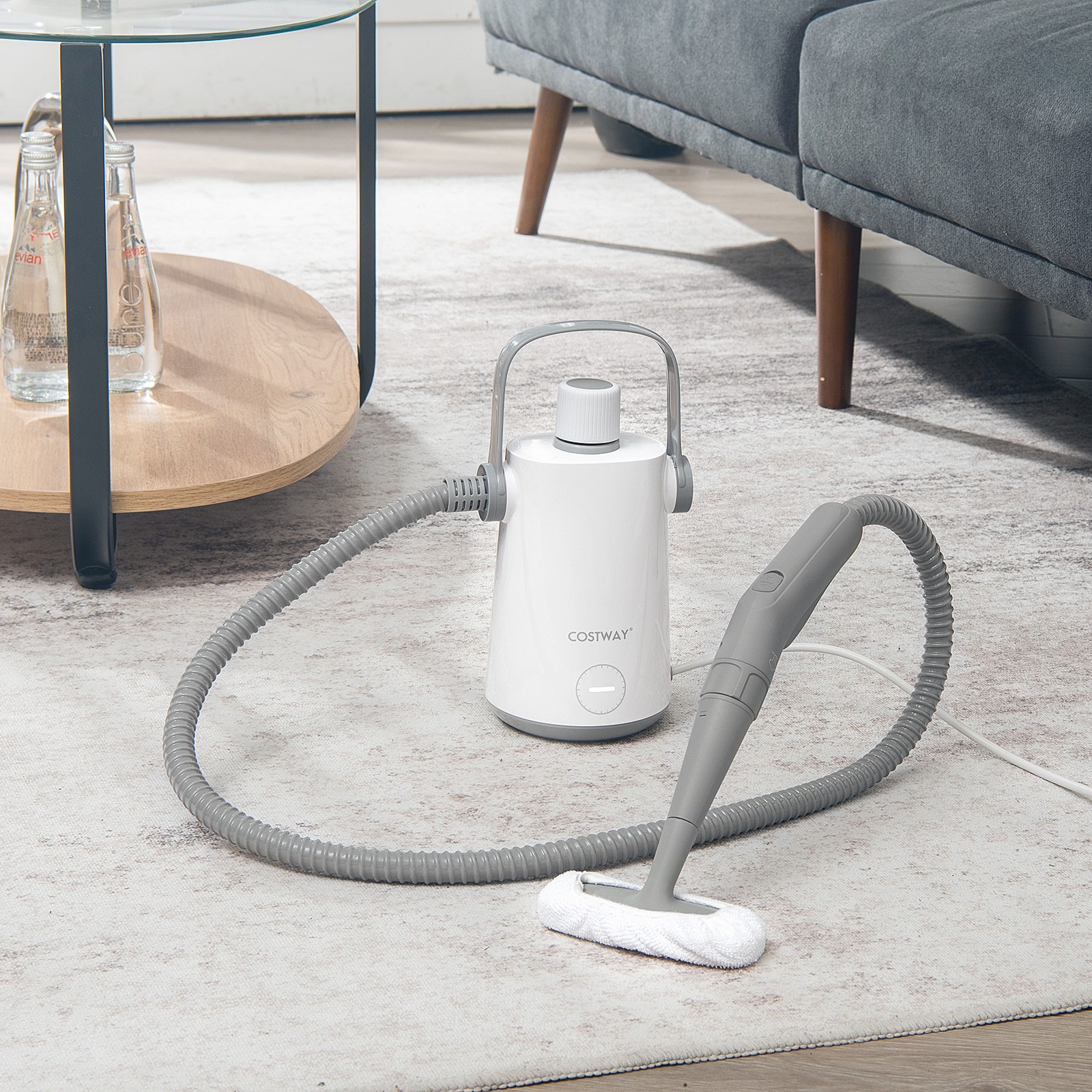 1000W Multifunction Portable Hand-held Steam Cleaner W/10 Accessories Gray