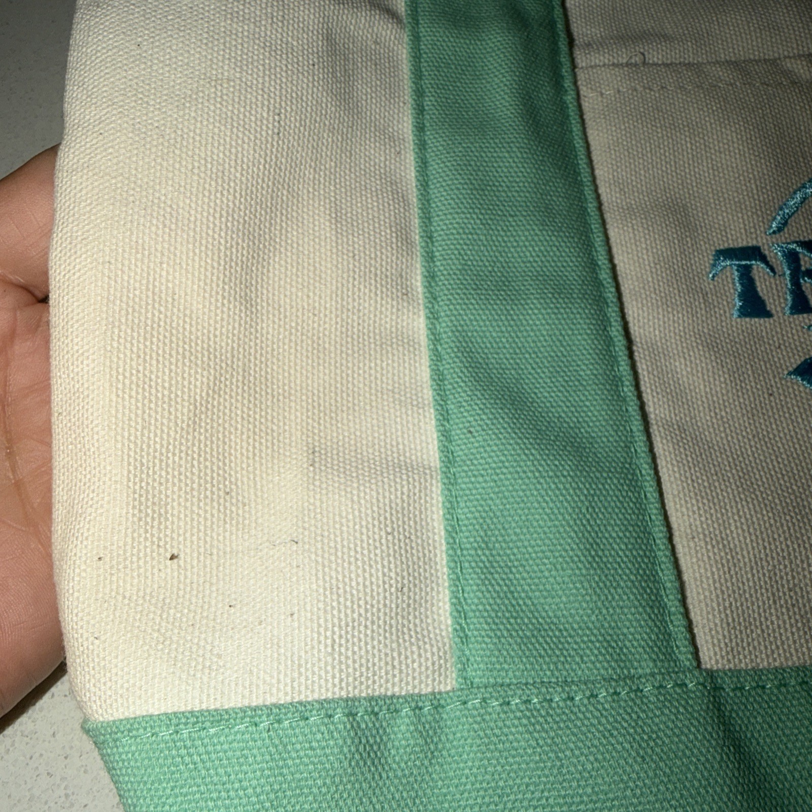 Trader Joe’s 2026 Spring Mini Pastel Mint Green Canvas Tote Bag New But Read