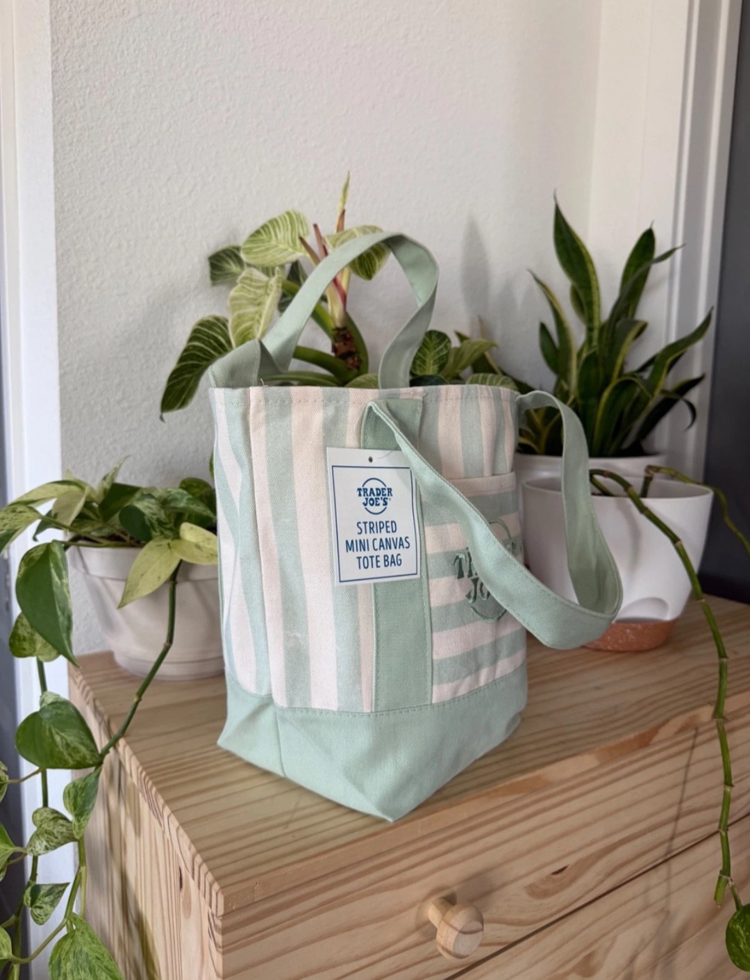 Trader Joe’s Striped Mini Canvas Tote Bag, Blue/White, Cotton/Polyester