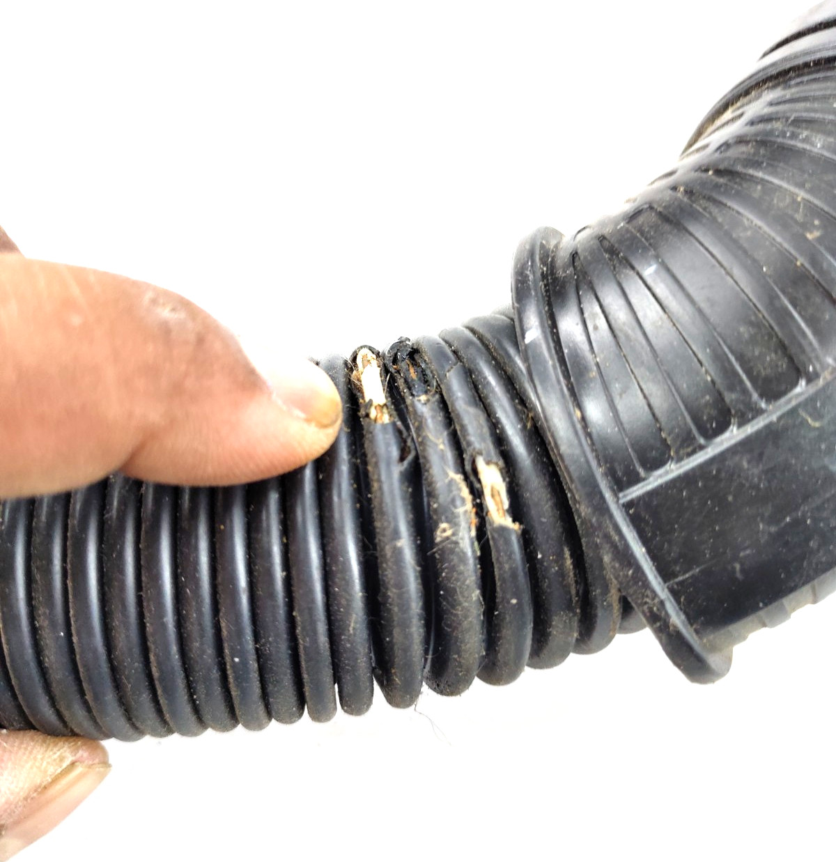 OEM REPLACEMENT HOSE HANDLE FOR SHARK ZU881 V502Q31 GENUINE PART