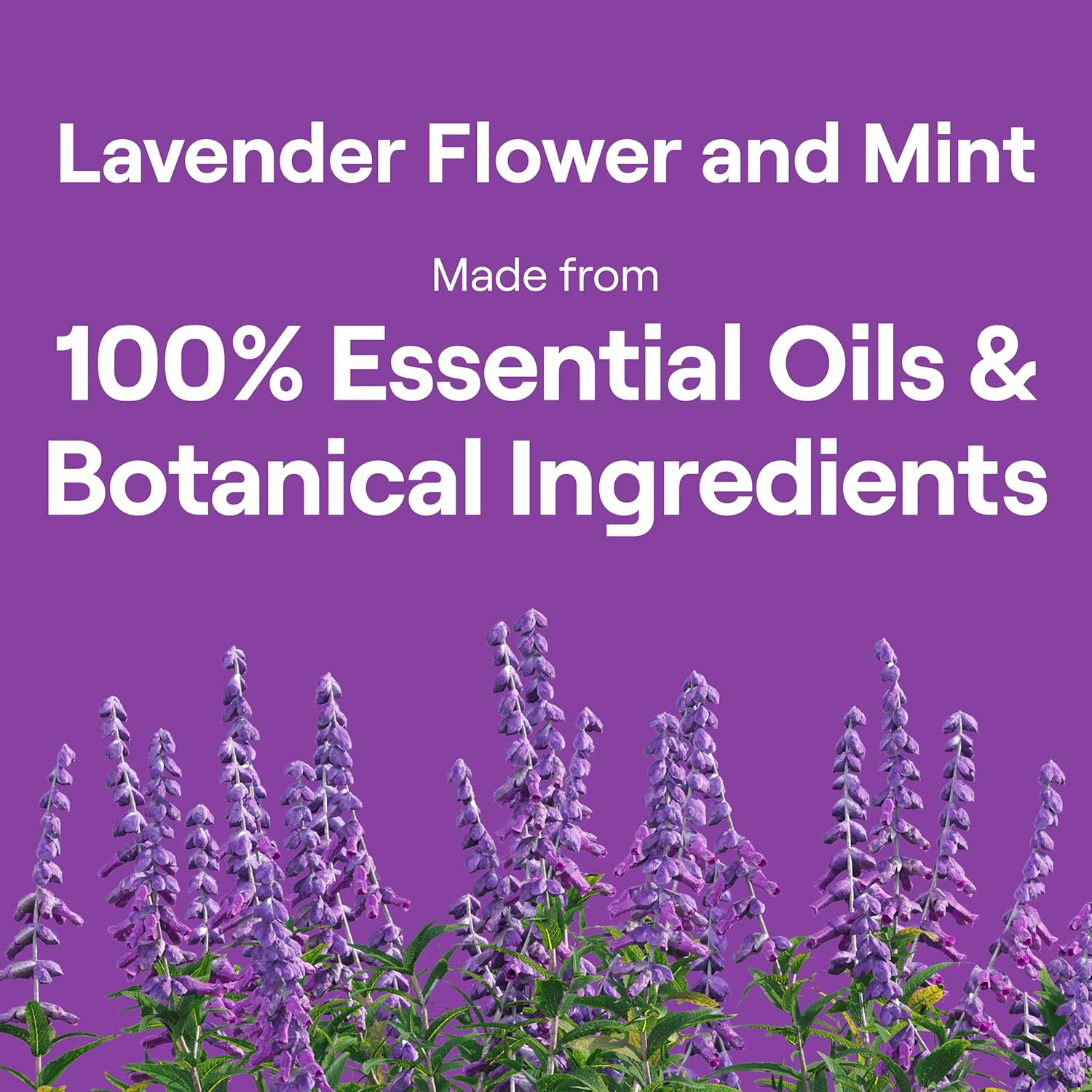 Seventh Generation Dish Soap Liquid Lavender Flower & Mint Scent Pack of 6
