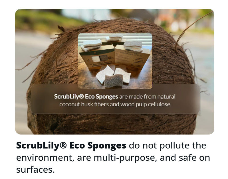 Biodegradable Natural Scrub Sponges 12-Pack Non-Scratch Plastic-Free Spring Sale