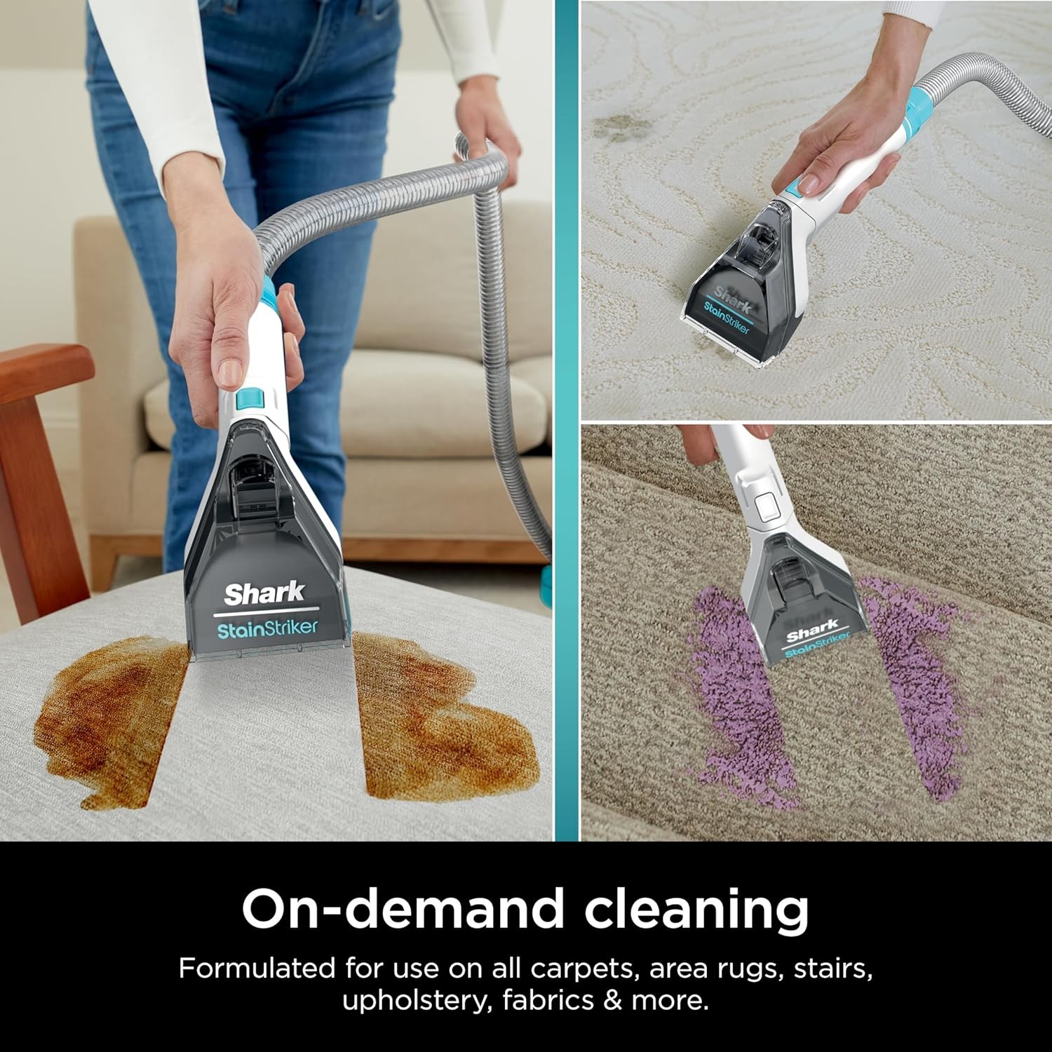 Shark Stainstriker Cleaning Solution Bundle for Portable Cleaners, Carpet and Ar