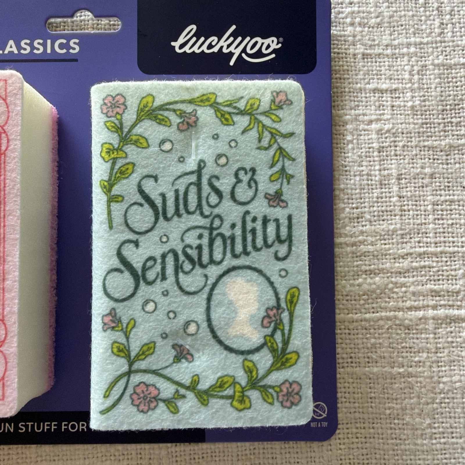 Cleaning Classics Sponges 2 Pcs ~ Austen Bronte Book Lover Fun Kitchen Home Gift