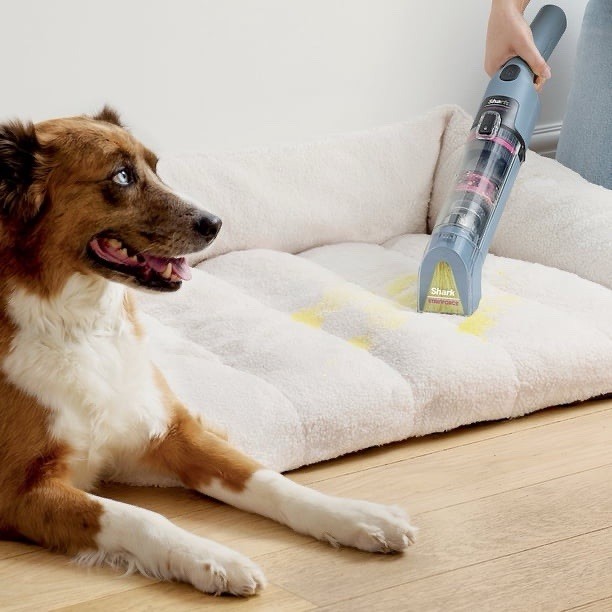 Shark StainForce Cordless Portable Spot, Stain, & Odor Remover