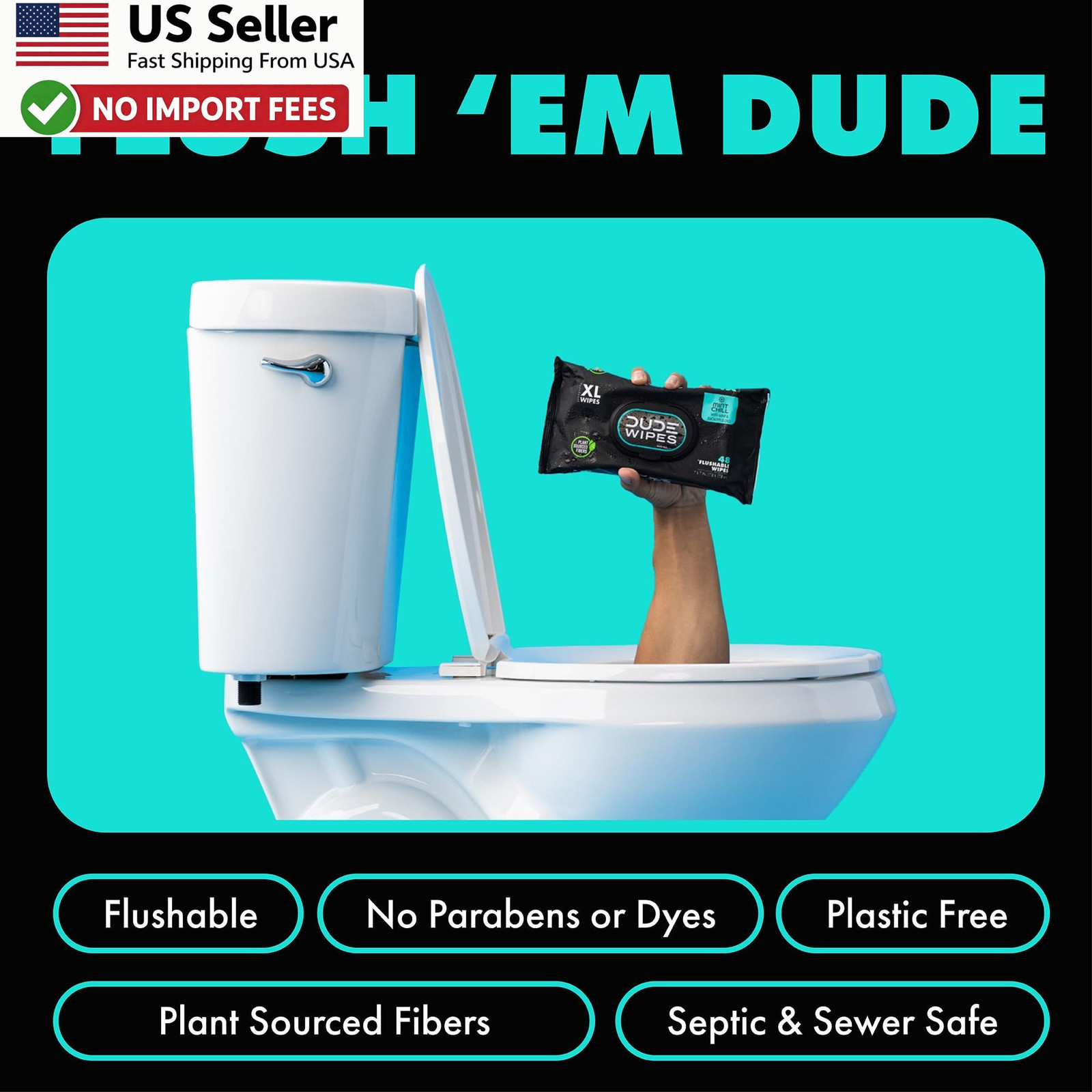 DUDE Wipes Mint Chill Flushable Wipes 48 Count Adult Wet Wipes 1 Pack FROM USA