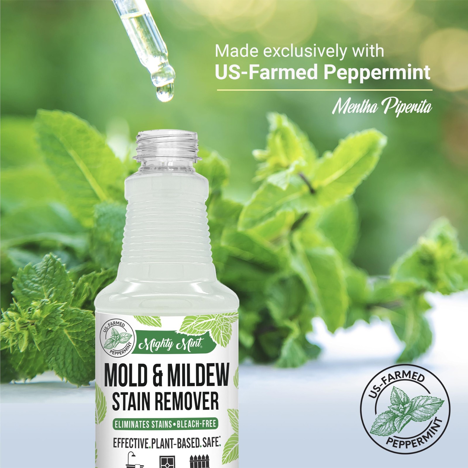 Mighty Mint Mold & Mildew Stain Remover Spray, 16 Fl Oz (Pack of 1), Natural