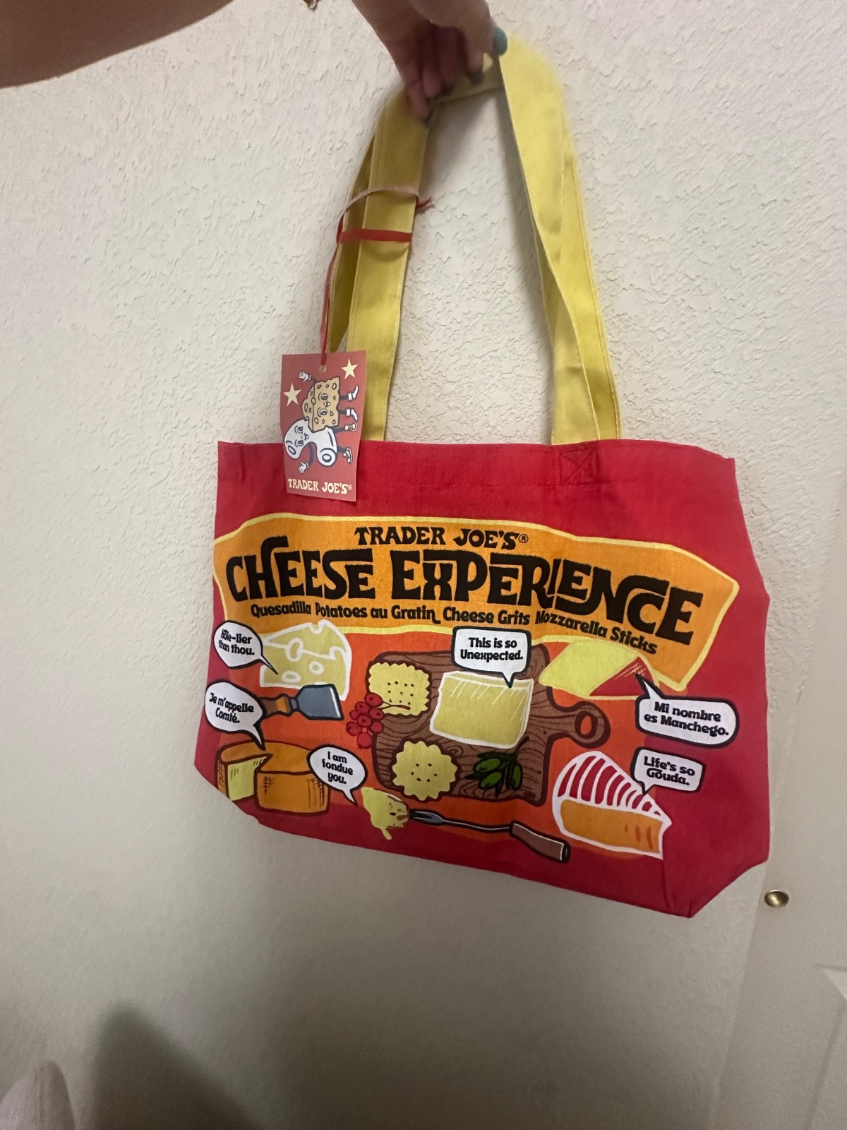 Yes…The Trader Joe’s cheese tote bag