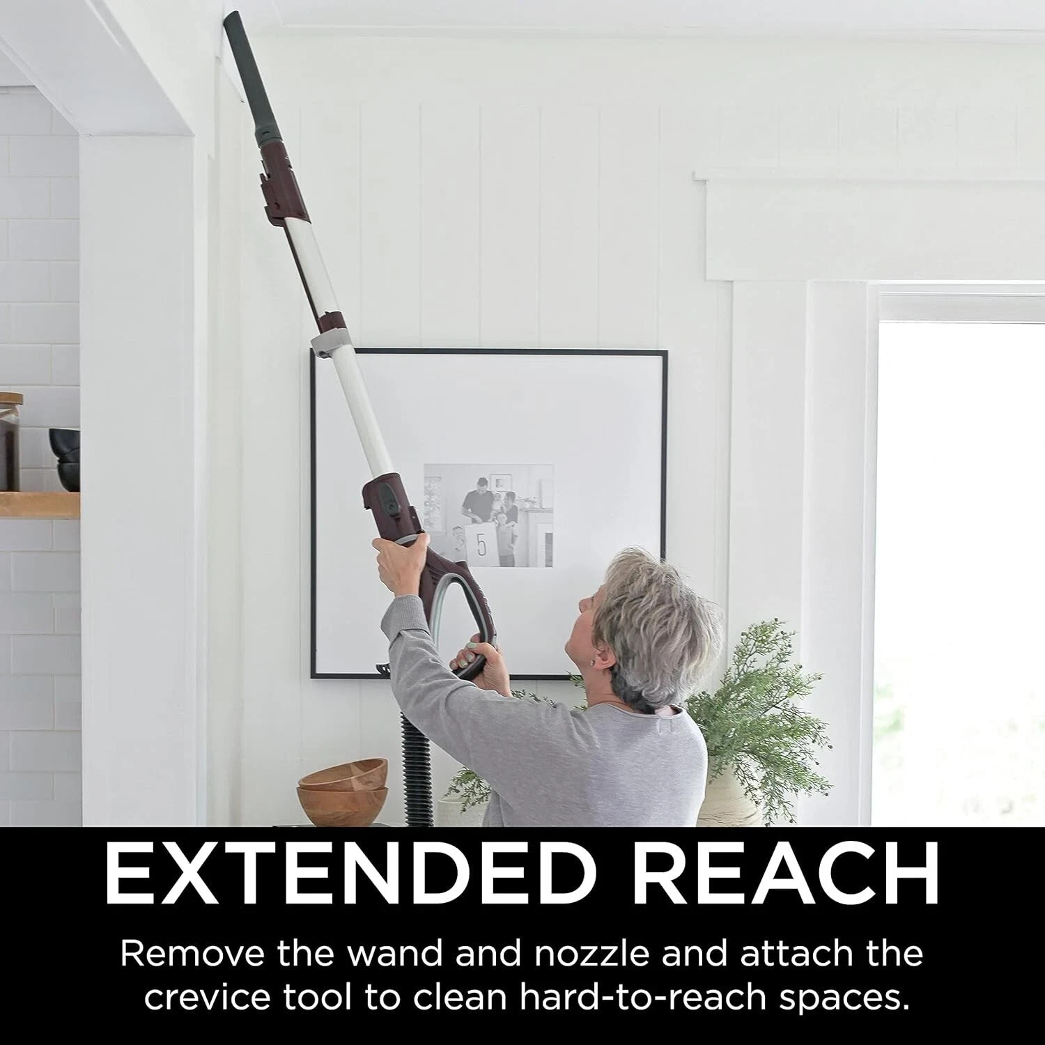 Shark NV752 Rotator Powered Lift-Away TruePet Upright Vacuum Large Dust Cup Cap