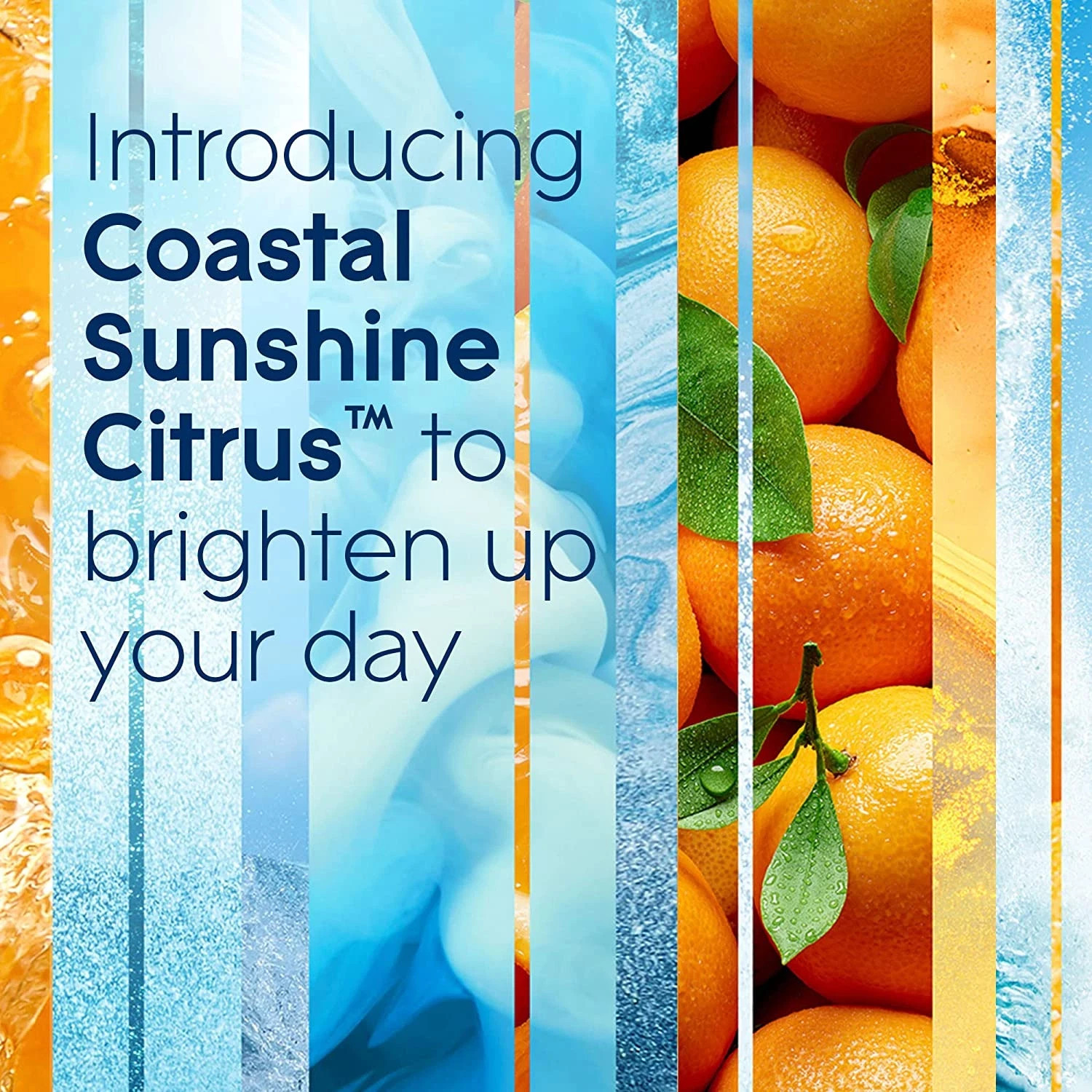 Glade Automatic Spray Refills, Air Freshener, Coastal Sunshine Citrus, 6.2 Oz, 2