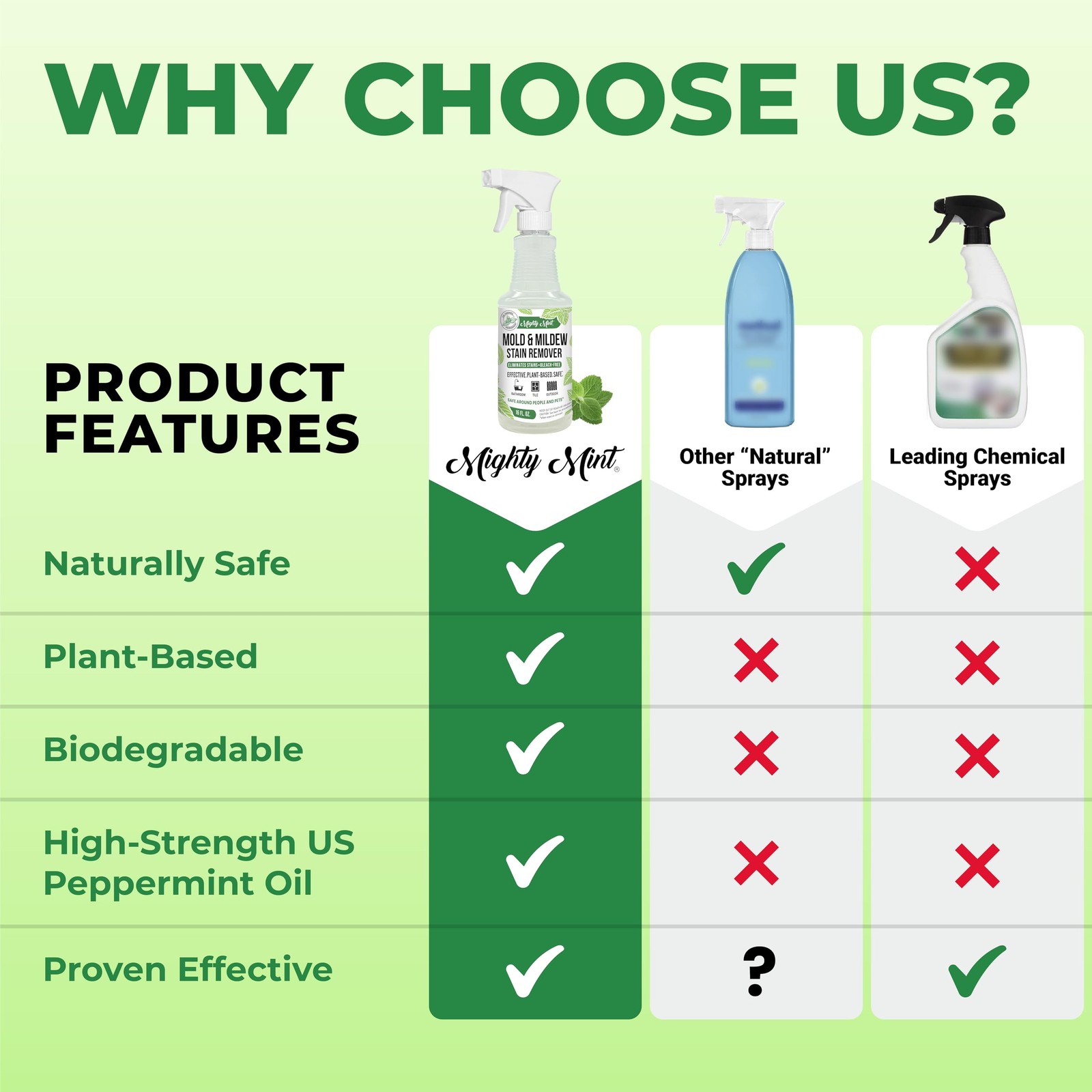 Mighty Mint Mold & Mildew Stain Remover Spray, 16 Fl Oz (Pack of 1), Natural