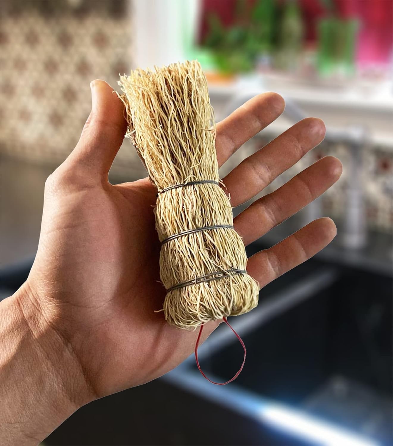 Coladera Set of 3 Natural Fiber Dish Brush Cleaners Mexican Escobetas Molcajete