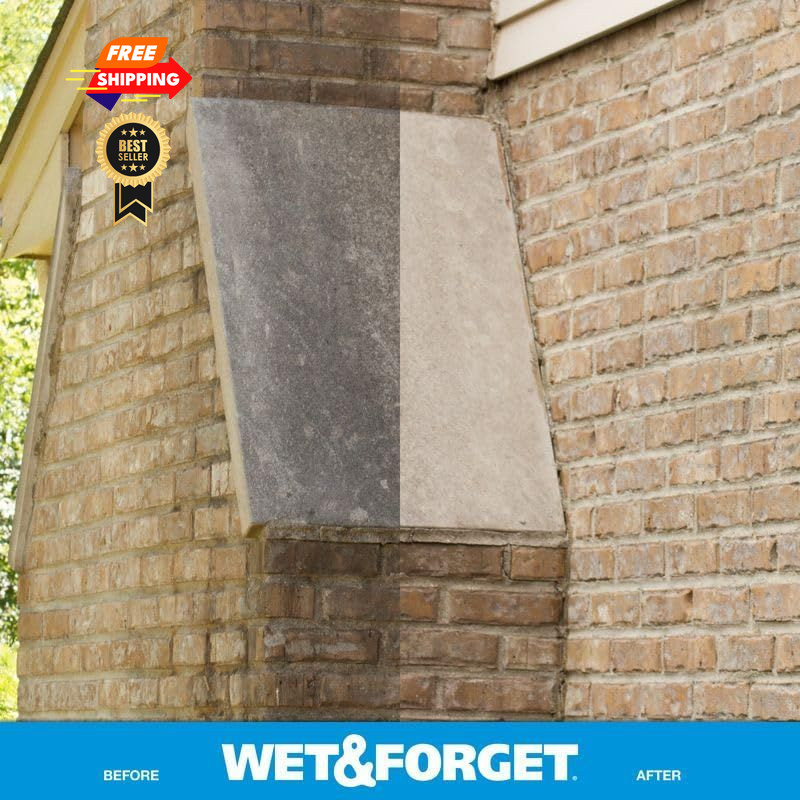 Wet & Forget Outdoor Moss, Mold, Mildew, & Algae 48 Fl Oz (Pack of 1), Blue